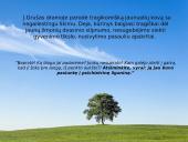 Juozas Grušas ir Meilė, džiazas ir velnias 14 puslapis