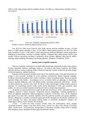 Mažų įmonių turto ir kapitalo pokyčiai 2010-2020 m. 2 puslapis