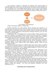 Mažų įmonių turto ir kapitalo pokyčiai 2010-2020 m. 3 puslapis