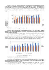 Mažų įmonių turto ir kapitalo pokyčiai 2010-2020 m. 4 puslapis
