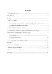 Špinatų pyragas su mocarela  2 puslapis