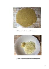 Špinatų pyragas su mocarela  14 puslapis