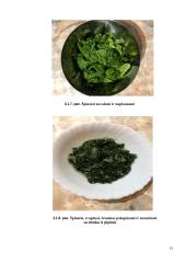 Špinatų pyragas su mocarela  15 puslapis