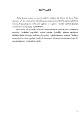 Špinatų pyragas su mocarela  4 puslapis