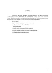 Špinatų pyragas su mocarela  5 puslapis