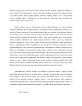 Homero poemų reikšmė 2 puslapis