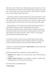 Tarptautinės investicijos, jų atsiradimas, klasifikavimas, formos 2 puslapis