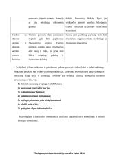 Tarptautinės investicijos, jų atsiradimas, klasifikavimas, formos 4 puslapis