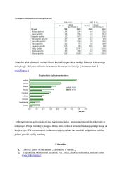 Tarptautinės investicijos, jų atsiradimas, klasifikavimas, formos 8 puslapis