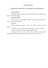 Šaškių lenta 8 puslapis