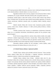 Verslo statistika - tarptautiniai finansai 7 puslapis