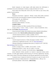 Tarptautinio maršruto sudarymas naudojantis "GoogleMaps" 2 puslapis