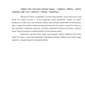 Tarptautinio maršruto sudarymas naudojantis "GoogleMaps" 6 puslapis