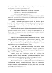 Rinkodarinės situacijos analizė AB ,,AUDIMAS" 8 puslapis