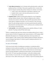 3G ir 4G technologiniai ypatumai 8 puslapis