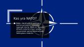 NATO stuktūra 2 puslapis