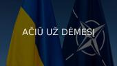 NATO stuktūra 13 puslapis
