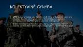 NATO stuktūra 7 puslapis