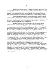 Skaitmeninė antžeminė televizija 3 puslapis