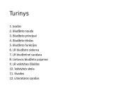 Lietuvos biudžeto deficitas ir valstybės skola 2 puslapis