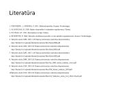 Lietuvos biudžeto deficitas ir valstybės skola 19 puslapis