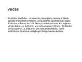 Lietuvos biudžeto deficitas ir valstybės skola 3 puslapis