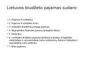 Lietuvos biudžeto deficitas ir valstybės skola 10 puslapis