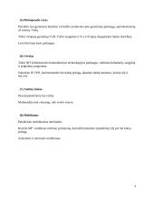 Naujosios kartos intelektualieji tinklai 5 puslapis