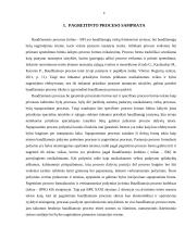 Ikiteisminio tyrimo specifika pagreitintame procese 4 puslapis