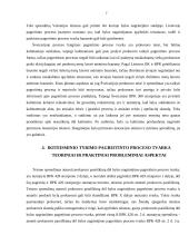 Ikiteisminio tyrimo specifika pagreitintame procese 7 puslapis