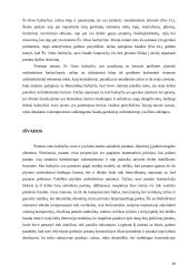 Šventos onos bažnyčia, lyginamoji analizė 11 puslapis