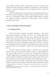 Šventos onos bažnyčia, lyginamoji analizė 6 puslapis