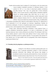 Šventos onos bažnyčia, lyginamoji analizė 9 puslapis