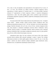Lietuvos darbo rinkos politikos priemonių analizė 8 puslapis