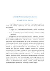 Prekių ženklo ir dizaino apsauga 11 puslapis