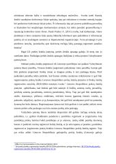 Prekių ženklo ir dizaino apsauga 13 puslapis