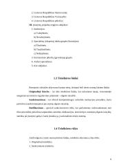 Teisėkūros rūšys 5 puslapis