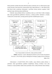 Akumuliatorinių suktuvų tyrimas 6 puslapis