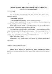 Akumuliatorinių suktuvų tyrimas 10 puslapis