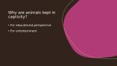 Why are animals kept in captivity? 2 puslapis