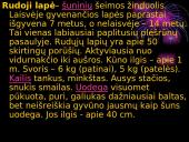 Lapė, ryklys, puma, pantera ir gorila 3 puslapis