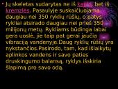 Lapė, ryklys, puma, pantera ir gorila 5 puslapis