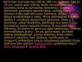 Lapė, ryklys, puma, pantera ir gorila 7 puslapis