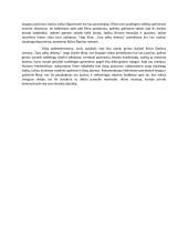 Knygos ir filmo „Tarp pilkų debesų“ palyginimas 2 puslapis