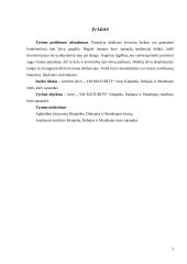 Laivo „YM MATURITY“ Klaipėda, Dubajus ir Mumbajus maršruto kuro sąnaudos 2 puslapis