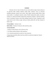 Izoliacijos varža 2 puslapis