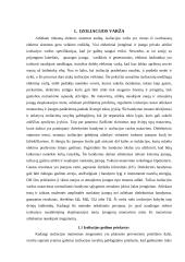 Izoliacijos varža 3 puslapis