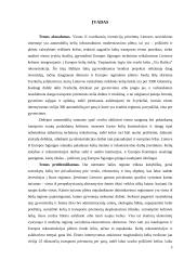 Lietuvos automobilių kelių tinklas, jo plėtros tendencijos ir ypatybės 2 puslapis