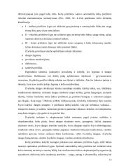 Lietuvos automobilių kelių tinklas, jo plėtros tendencijos ir ypatybės 14 puslapis