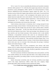 Lietuvos automobilių kelių tinklas, jo plėtros tendencijos ir ypatybės 18 puslapis